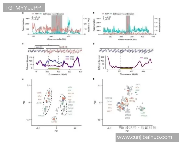 探索足球梯形的战术奥秘与球队表现的深度关联分析