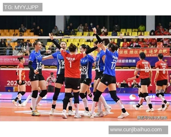最新排球状态排行榜出炉上海排球队稳居第一名引关注