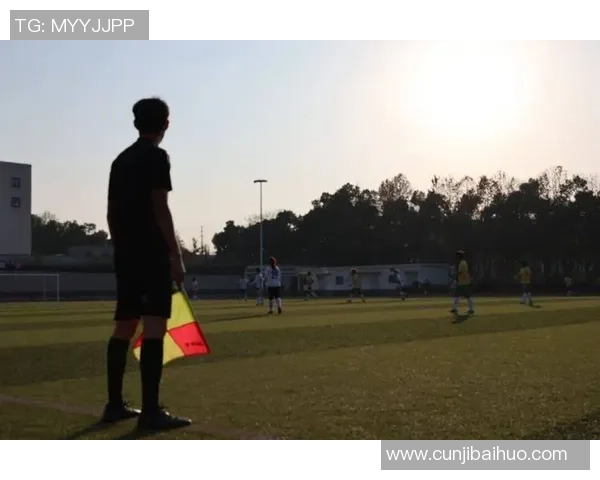 足球带玩乐趣无穷体验激情与团队合作的完美结合